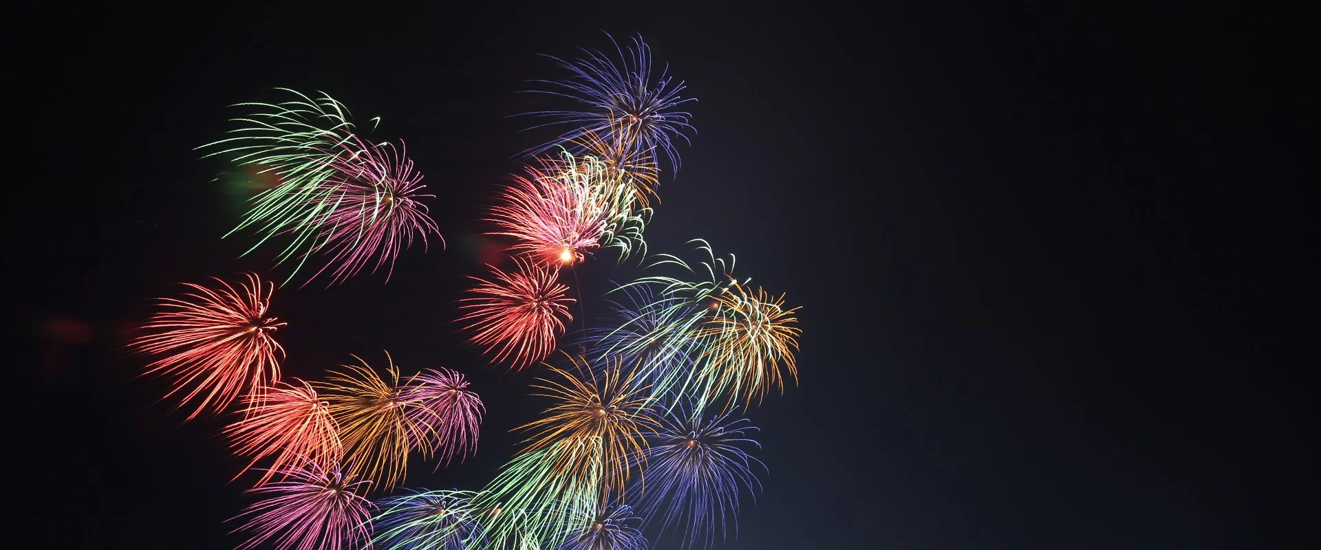 Fireworks in the sky