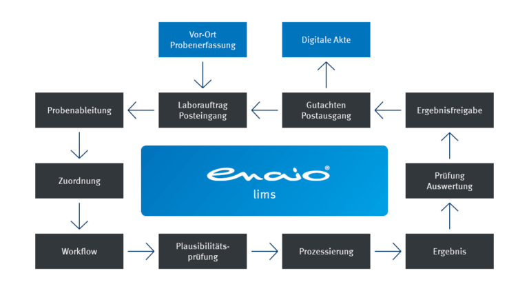 Infografik zur Probenprozessierung in enaio® lims