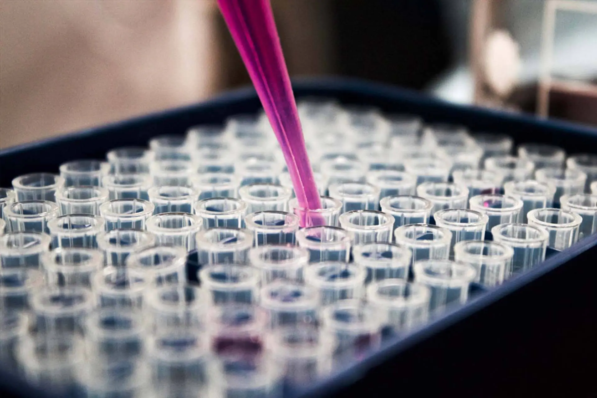 Ein Wissenschaftler gießt in einer LIMS-Umgebung eine rosa Flüssigkeit in ein Reagenzglas.