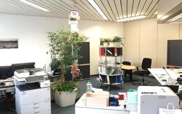 Bright office space with desks, printers, plants, and office equipment arranged neatly in ludwigsburg