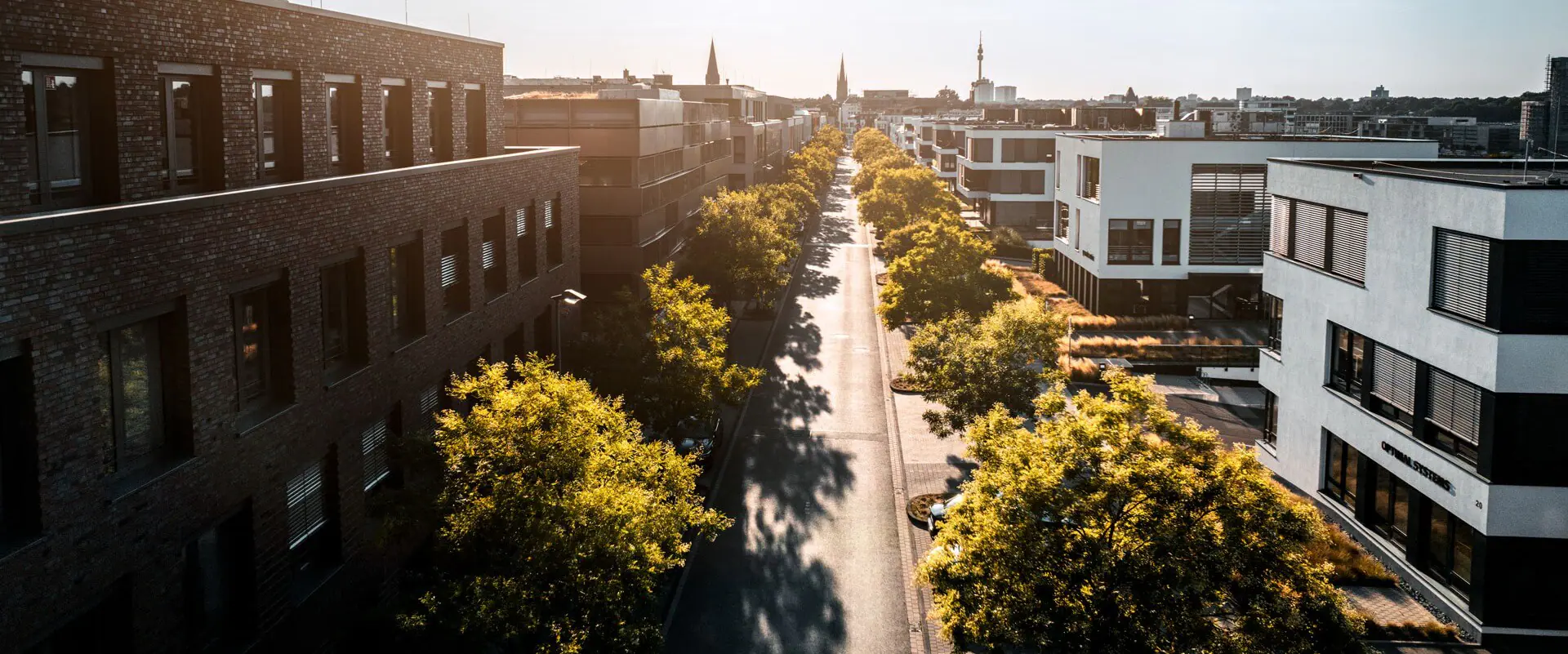 Von Bäumen gesäumte Straße inmitten moderner Gebäude in urbaner Umgebung zur goldenen Stunde, Präsentation von OPTIMAL SYSTEMS Dortmund.