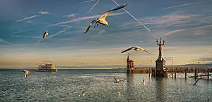Eine ruhige Bucht mit Möwen, ein Boot, das sich einem Pier nähert, zwei kleine Türme und eine große Statue unter klarem Himmel mit Kondensstreifen.