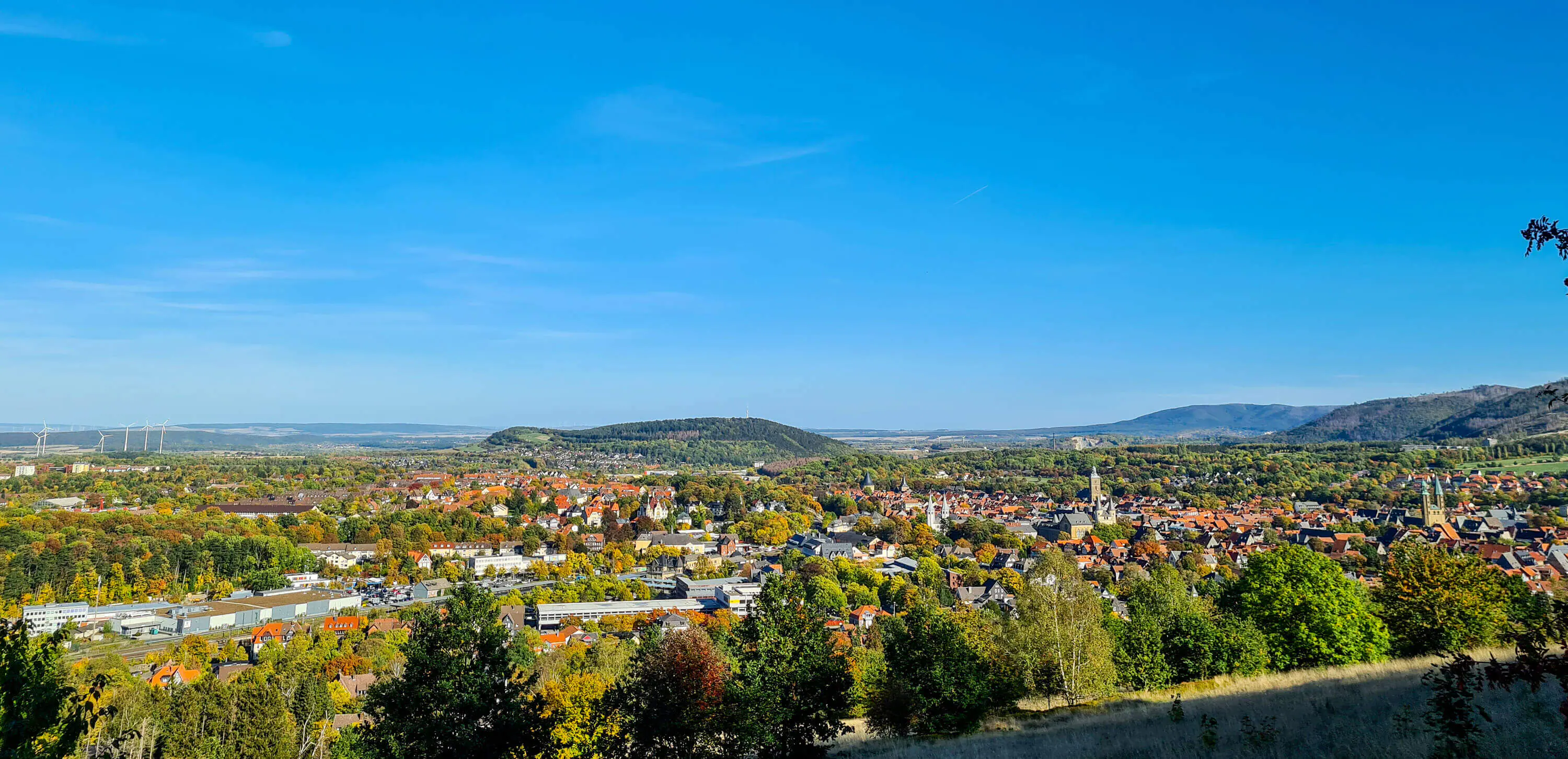 web_header_goslar_Maximilian_Strache_compressed